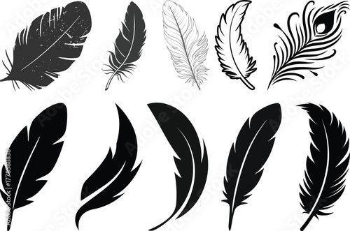 Set of detailed majestic feather collection. Bird Feather black silhouettes. Plumelet collection. Vector isolated on white.Detailed majestic feather collection. Feather Set icon, logo isolated
