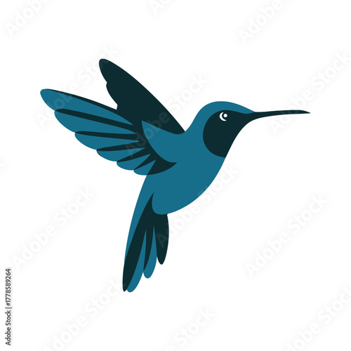 Blue hummingbird bird illustration
