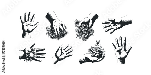 Set of hand illustrations holding botanical elements