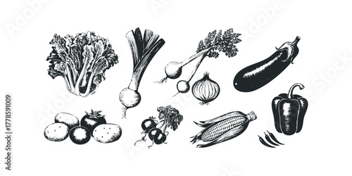 Collection of Fresh Vegetables in Sketch Style