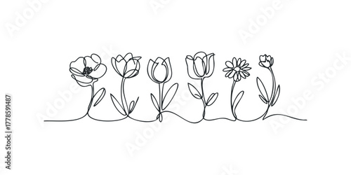 Continuous Line Drawing of Diverse Flowers on White Background