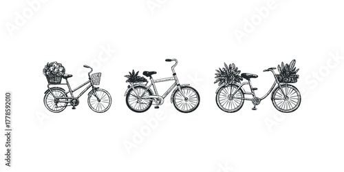 Three vintage bicycles with baskets filled with plants