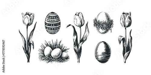 Vintage style hand-drawn Easter eggs and tulips graphic collection