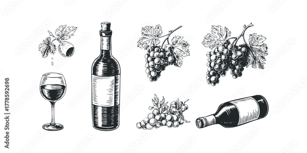 Naklejka premium Hand-drawn wine bottle and grapes with glass