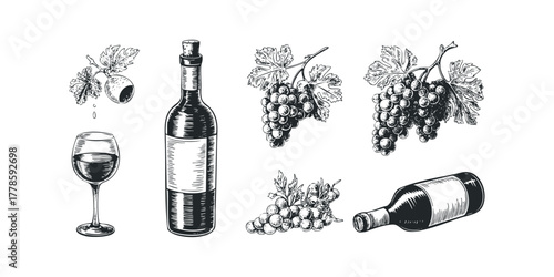 Hand-drawn wine bottle and grapes with glass
