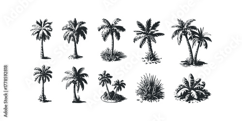 Various Palm Tree Silhouettes Isolated on White Background