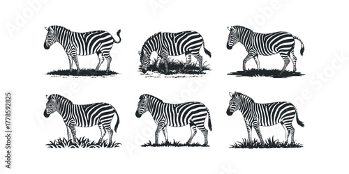 Six Stylized Zebras in Silhouette on White Background