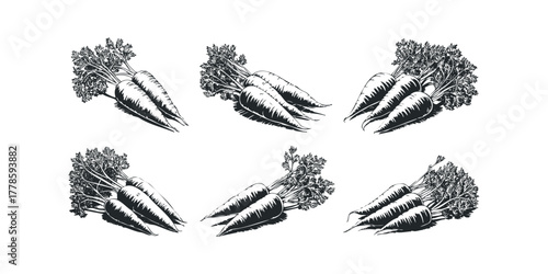 Black and white linocut style carrots with leafy green tops