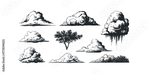 Sketchy Clouds and Tree Collection