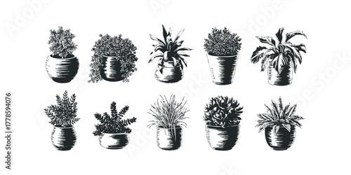Ten potted plants in black and white line art