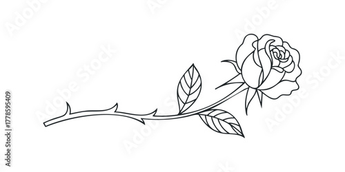 Simple Line Drawing of a Single Rose Stem with Thorns and Leaves