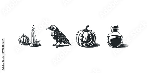 Halloween objects with carved pumpkins and raven