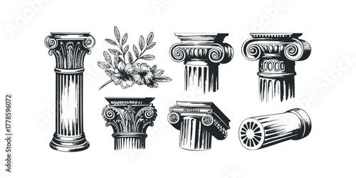 Classical column capitals and botanical branch