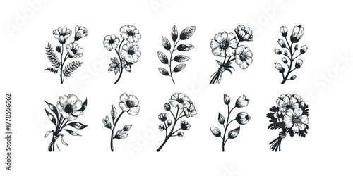 Collection of delicate floral line drawings with buds and leaves