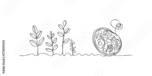 Continuous Line Drawing of Plants and Organic Shape