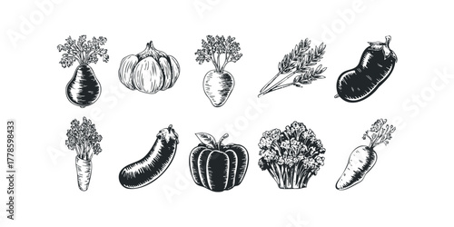 Collection of Hand Drawn Vegetables Featuring Carrots, Eggplants, Garlic, Pumpkin, and Cauliflower