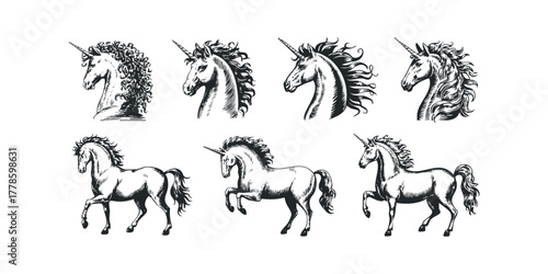 Collection of Engraved Unicorn Illustrations in Various Poses
