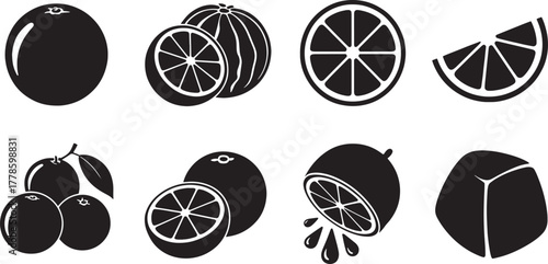 Black and white vector illustrations of oranges and citrus slices fruit whole