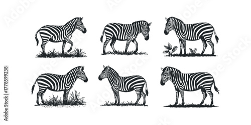 Six Stylized Zebras in Various Poses on White