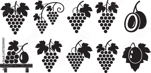 Black silhouette grape clusters and fruit icons on white background grapes food