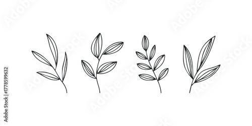 Simple line drawing of four delicate plant sprigs