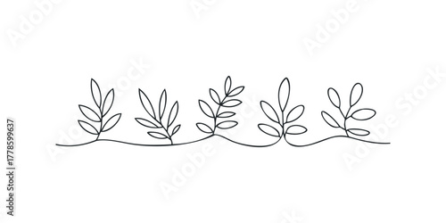 Continuous line drawing of stylized leaves and stems