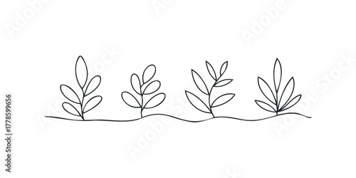 Simple line drawing of four stylized plants
