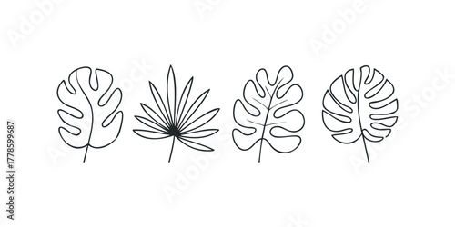 Line drawing of tropical monstera and fan palm leaves