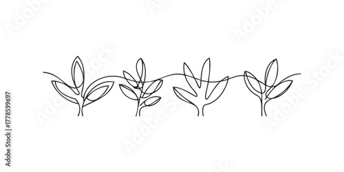 Minimalist continuous line drawing of four sprouting plant stems