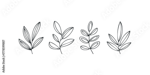 Four minimalist branch outlines with leaves