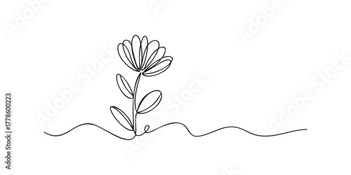 Minimalist single line drawing of a flower on wavy ground