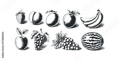 Collection of Hand Drawn Fruit Illustrations in Black and White