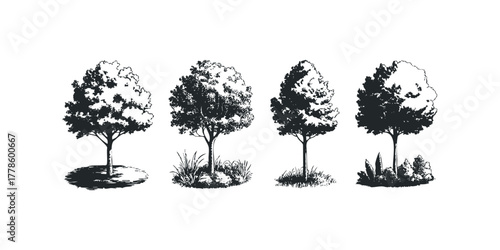 Line art representations of four distinct trees on white background