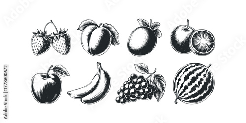 Collection of Hand Drawn Fruits in Vintage Style