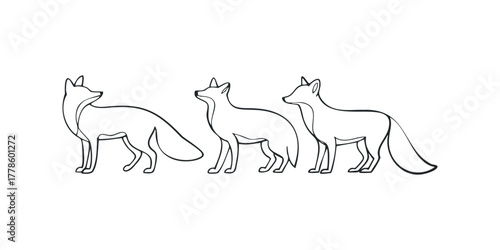 Line Drawing of Three Foxes Side By Side