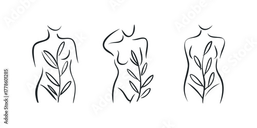 Abstract female torso line art with botanical leaf elements