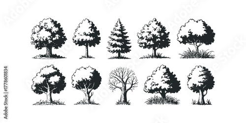 Collection of Black and White Tree Silhouettes