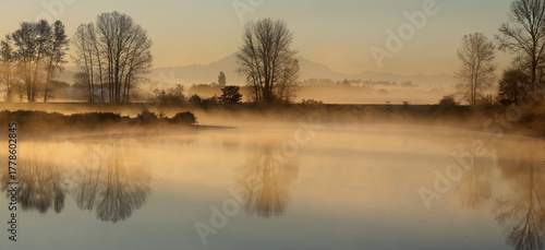 Morning fog over tranquil lake