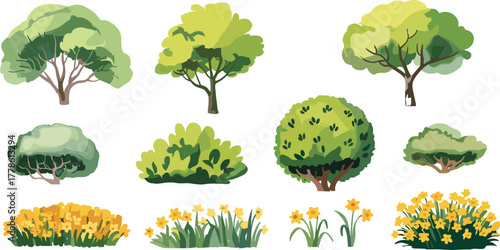 Collection of green trees, shrubs, and yellow flowers in spring garden landscape illustration for nature, botany, park, and outdoor design
