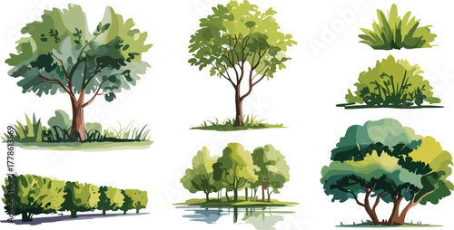 Collection of Trees, Bushes, and Shrubs in Natural Landscape Scene for Eco-Friendly Design, Garden Planning, and Botanical Illustration Use