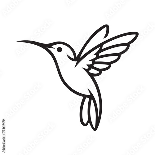 Hummingbird colibri lineart logo vector