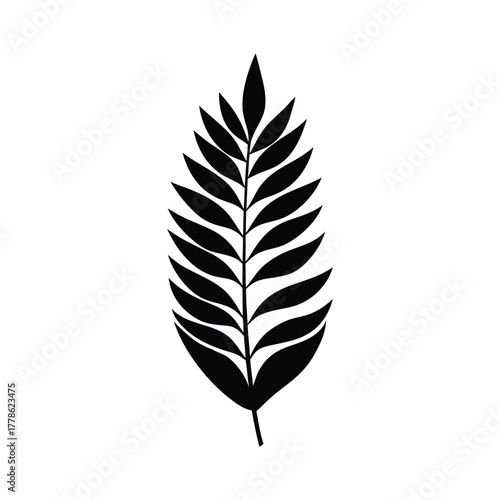 Stylized black fern frond silhouette vector design icon isolated on a white background