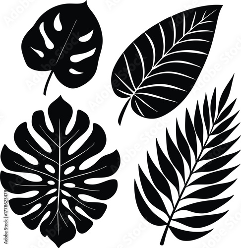 Set of four tropical leaf silhouettes vector design for exotic nature concepts