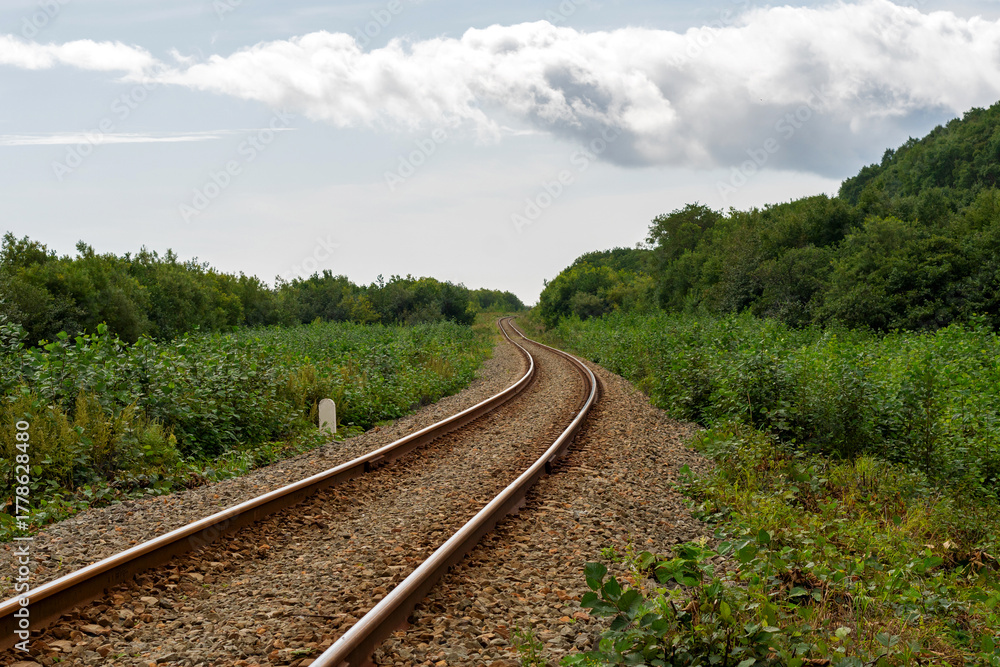 Obraz premium A single railway track extends into the distance surrounded by greenery and a cloudy summer sky, evoking themes of travel, solitude, and open landscapes. Nature of Sakhalin Island