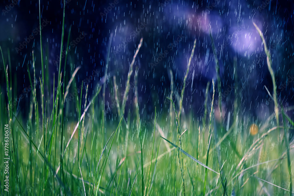 Fototapeta premium summer rain on the background of green grass, drops in motion background of fresh nature