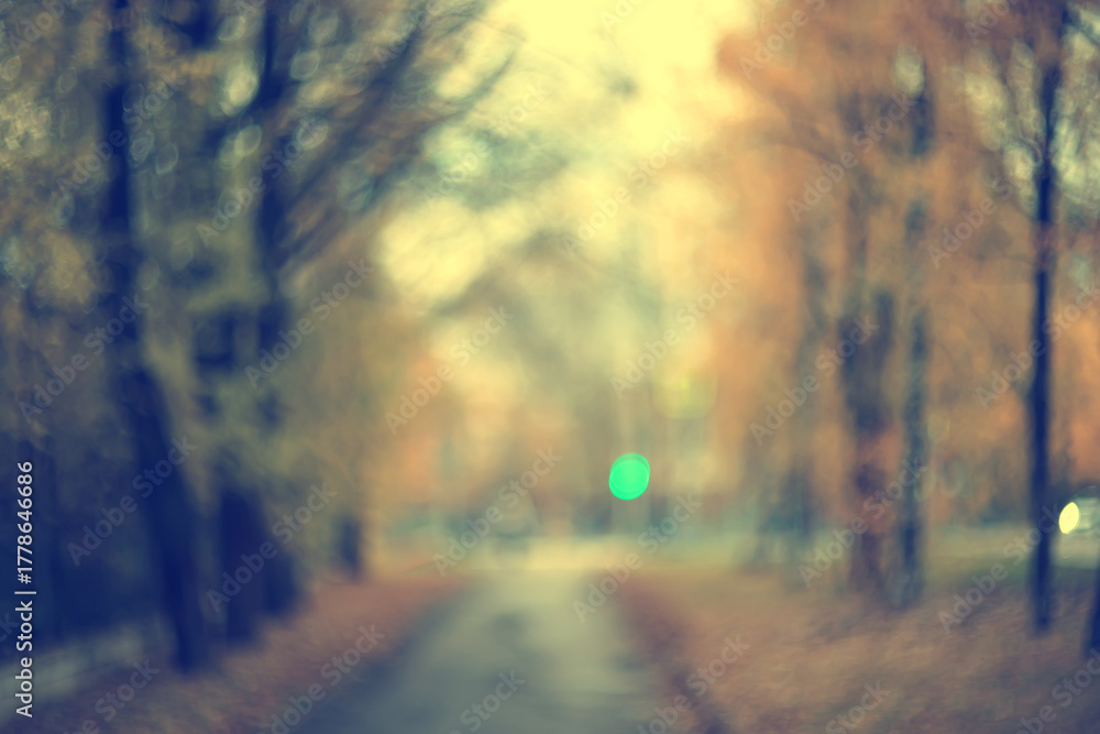 Naklejka premium Autumn blurred background of trees in a city park, seasonal backdrop for design