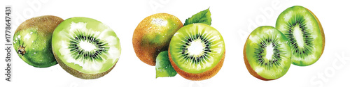 watercolor kiwi fruit, whole and halved hand drawn illustration set