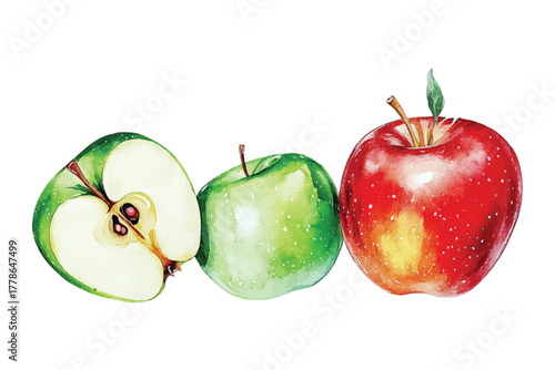 watercolor apple fruit slice illustration hand drawn red and green fruits clip art