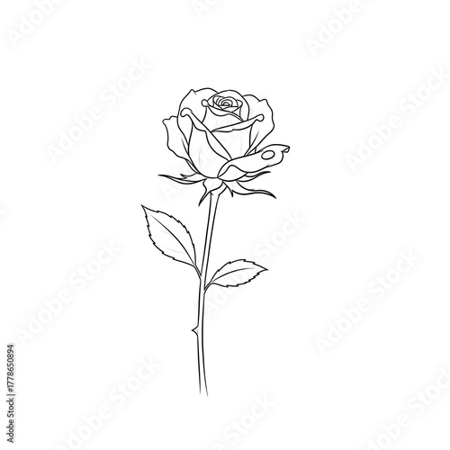 Beautiful single red rose flower illustration with a green leaf and stem, isolated on a white background, symbolizing love and romance