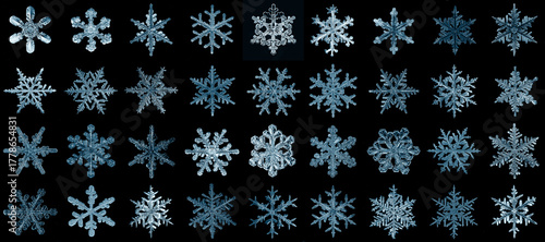 Wallpaper Mural set of snowflakes on a black background, real photos natural crystals macro photo isolated on a dark background Torontodigital.ca